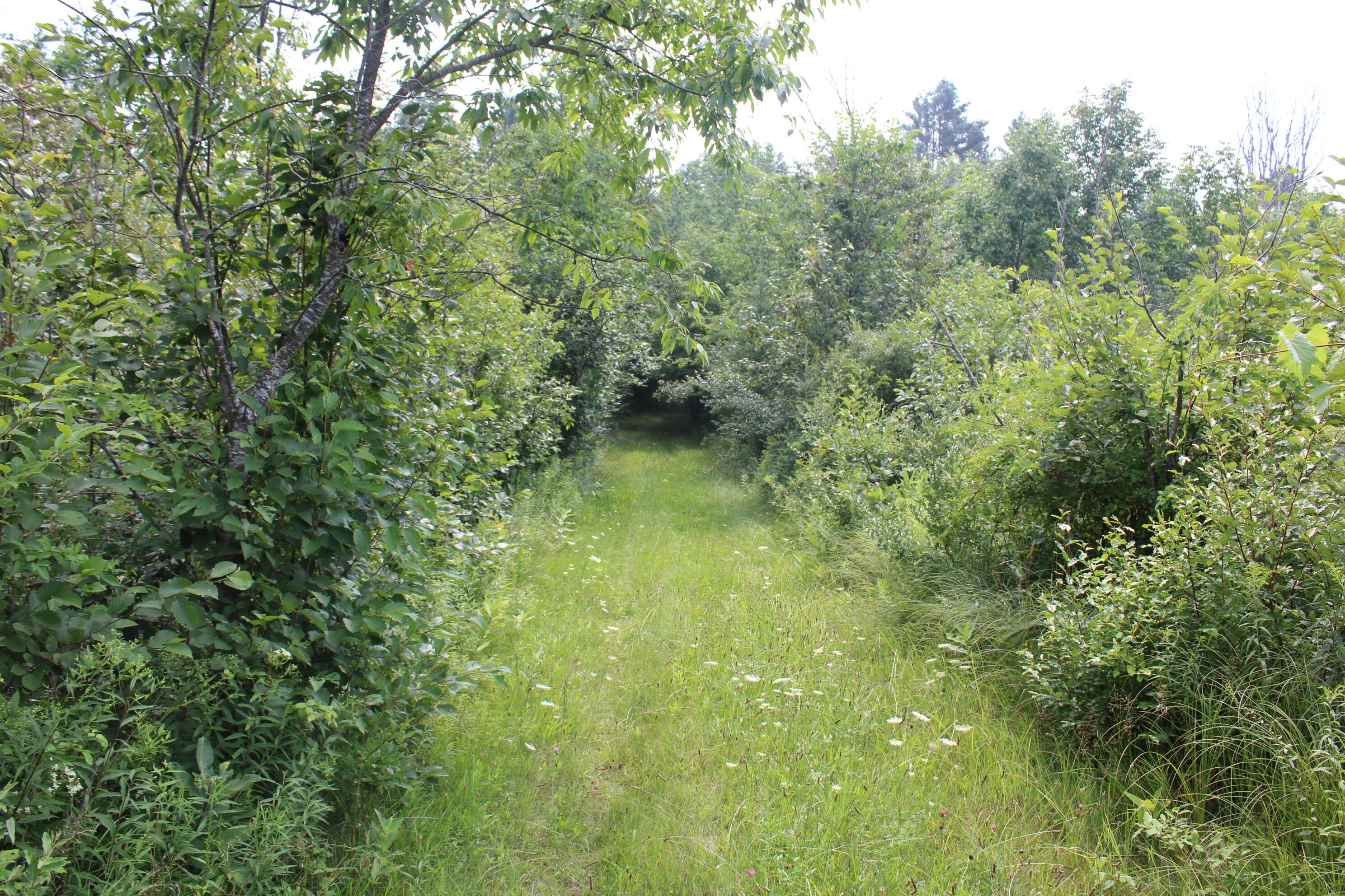 2838 W Trask Lake Road Hawes Township MI 48705