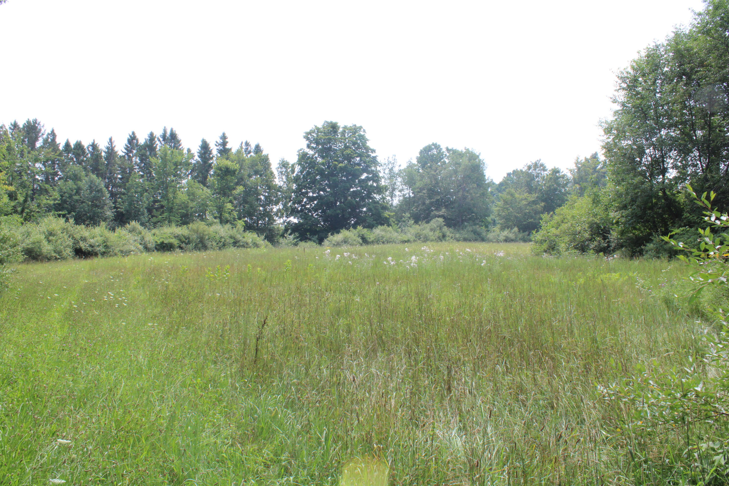 2838 W Trask Lake Road Hawes Township MI 48705