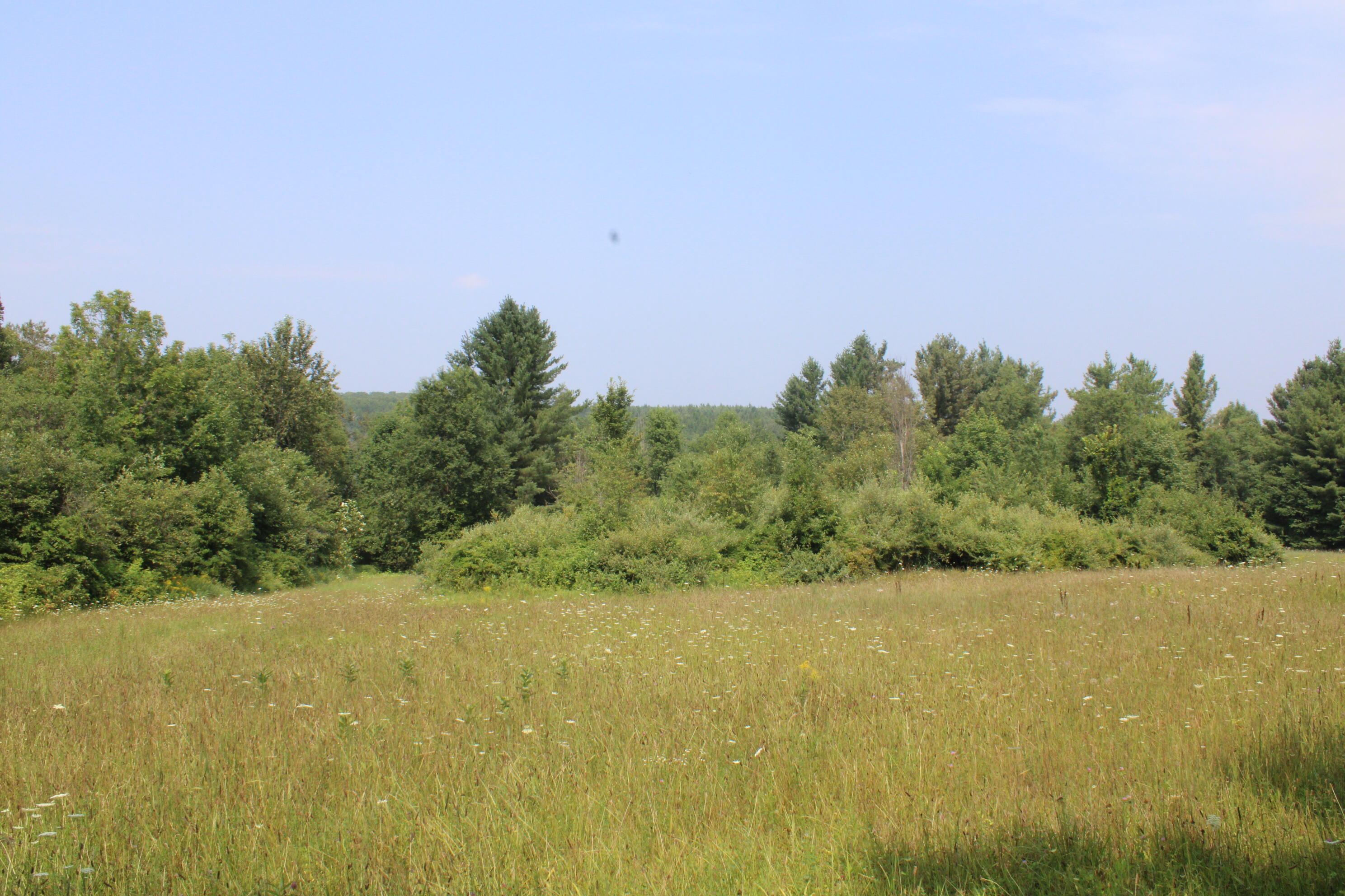 2838 W Trask Lake Road Hawes Township MI 48705