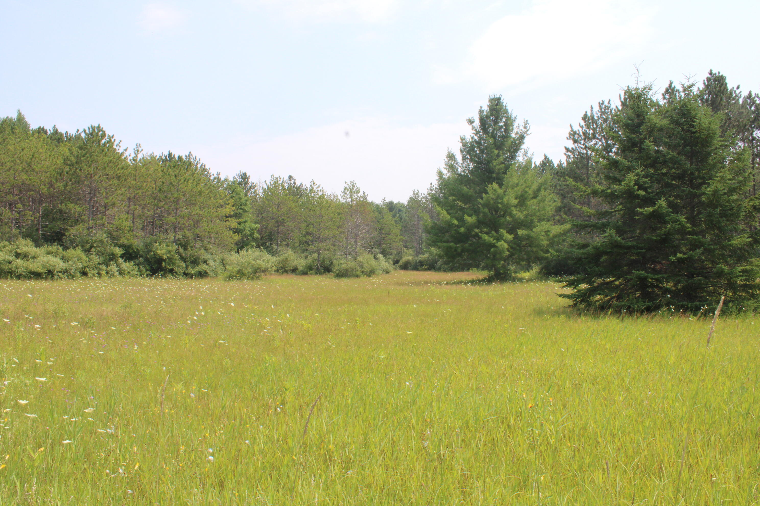 2838 W Trask Lake Road Hawes Township MI 48705
