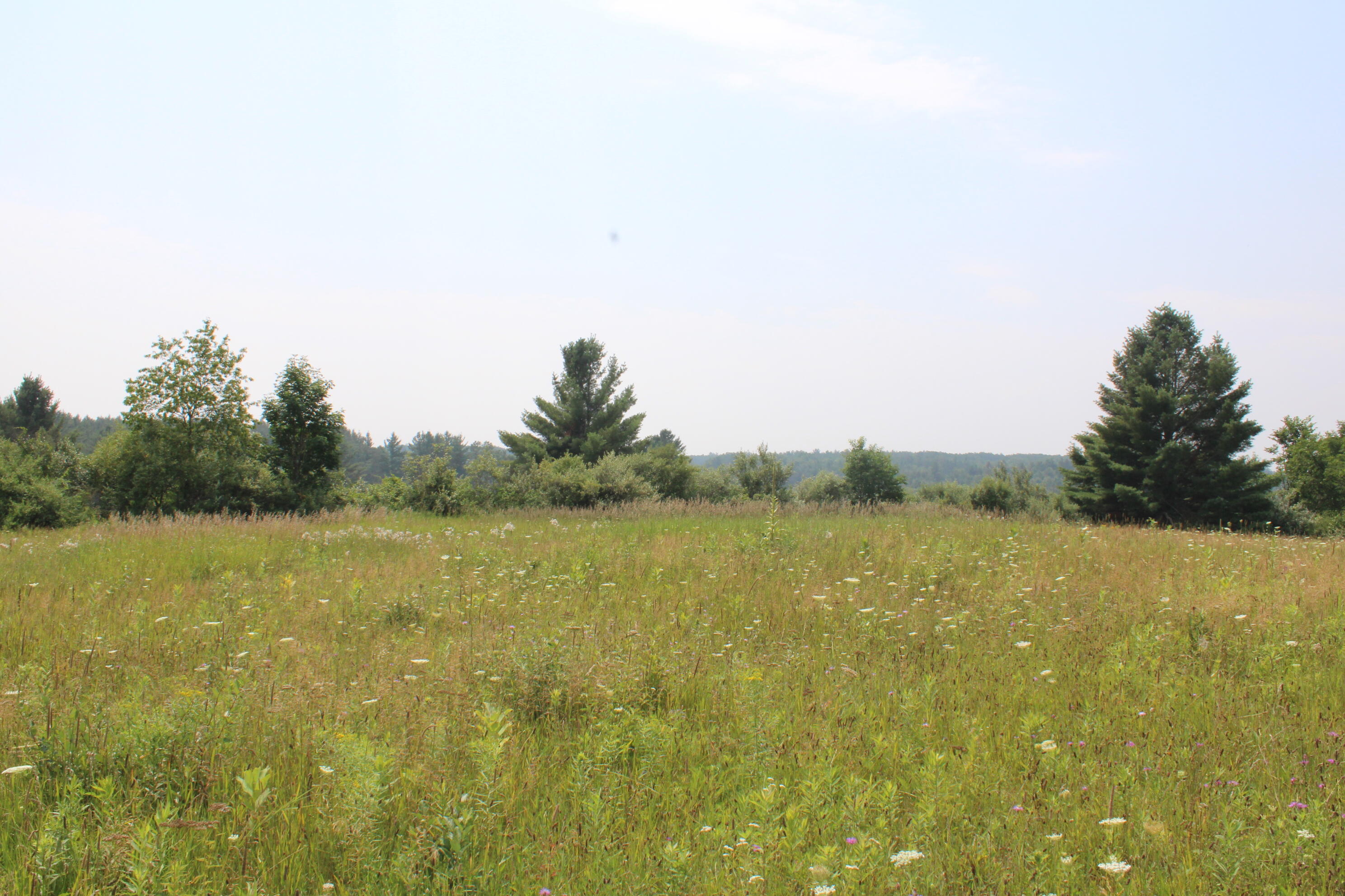 2838 W Trask Lake Road Hawes Township MI 48705
