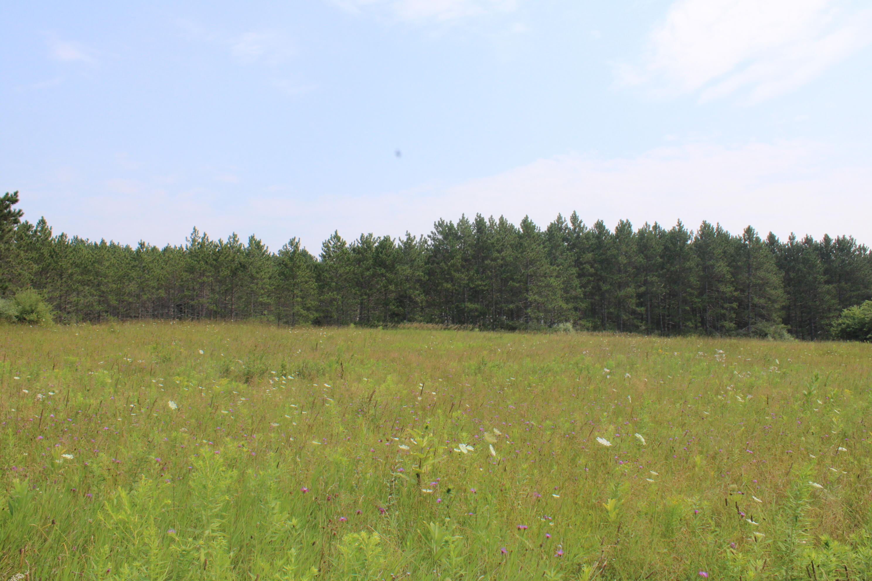 2838 W Trask Lake Road Hawes Township MI 48705
