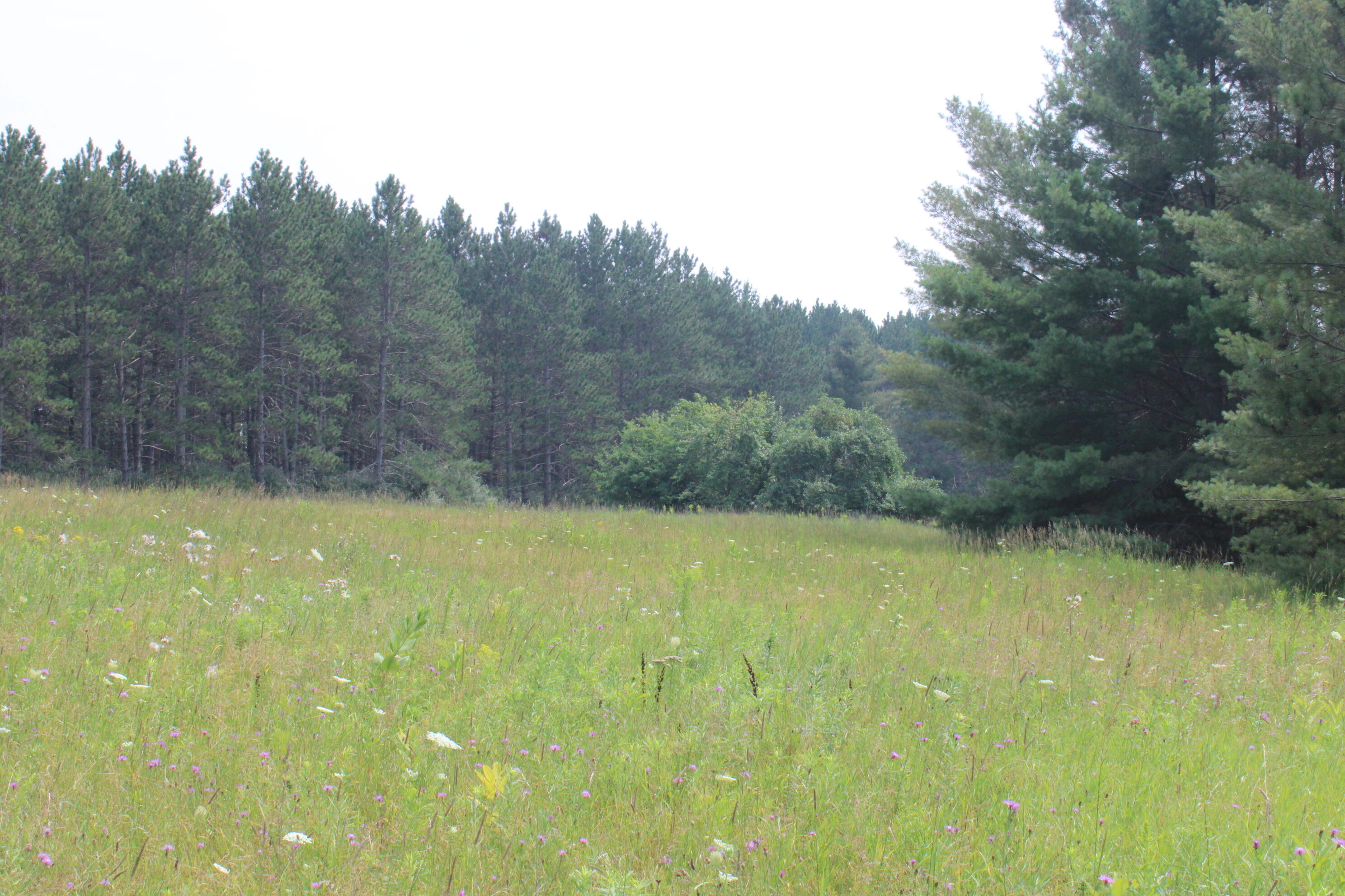 2838 W Trask Lake Road Hawes Township MI 48705