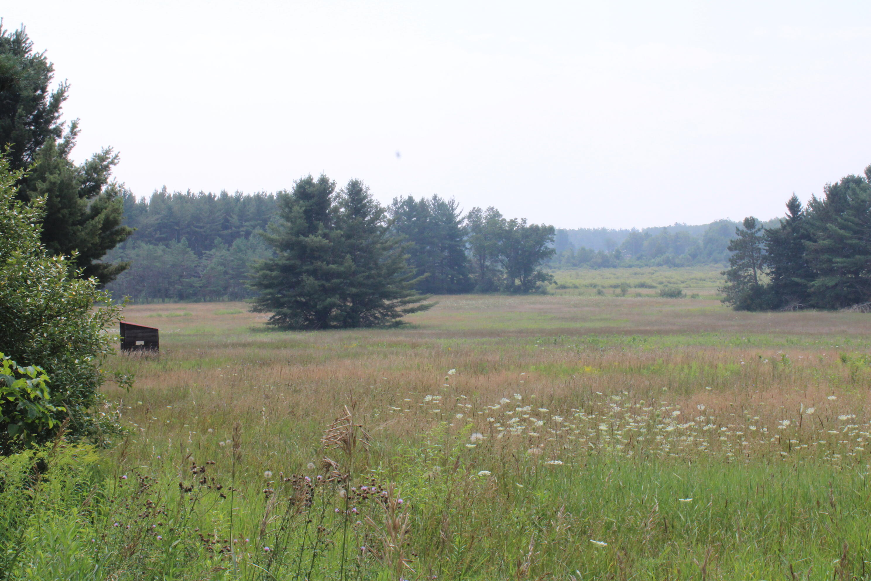 2838 W Trask Lake Road Hawes Township MI 48705