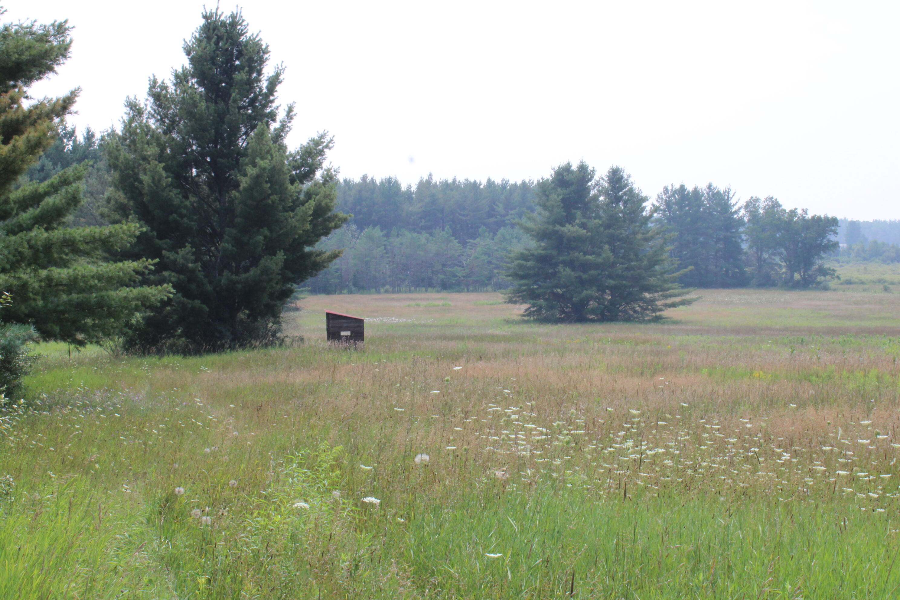2838 W Trask Lake Road Hawes Township MI 48705