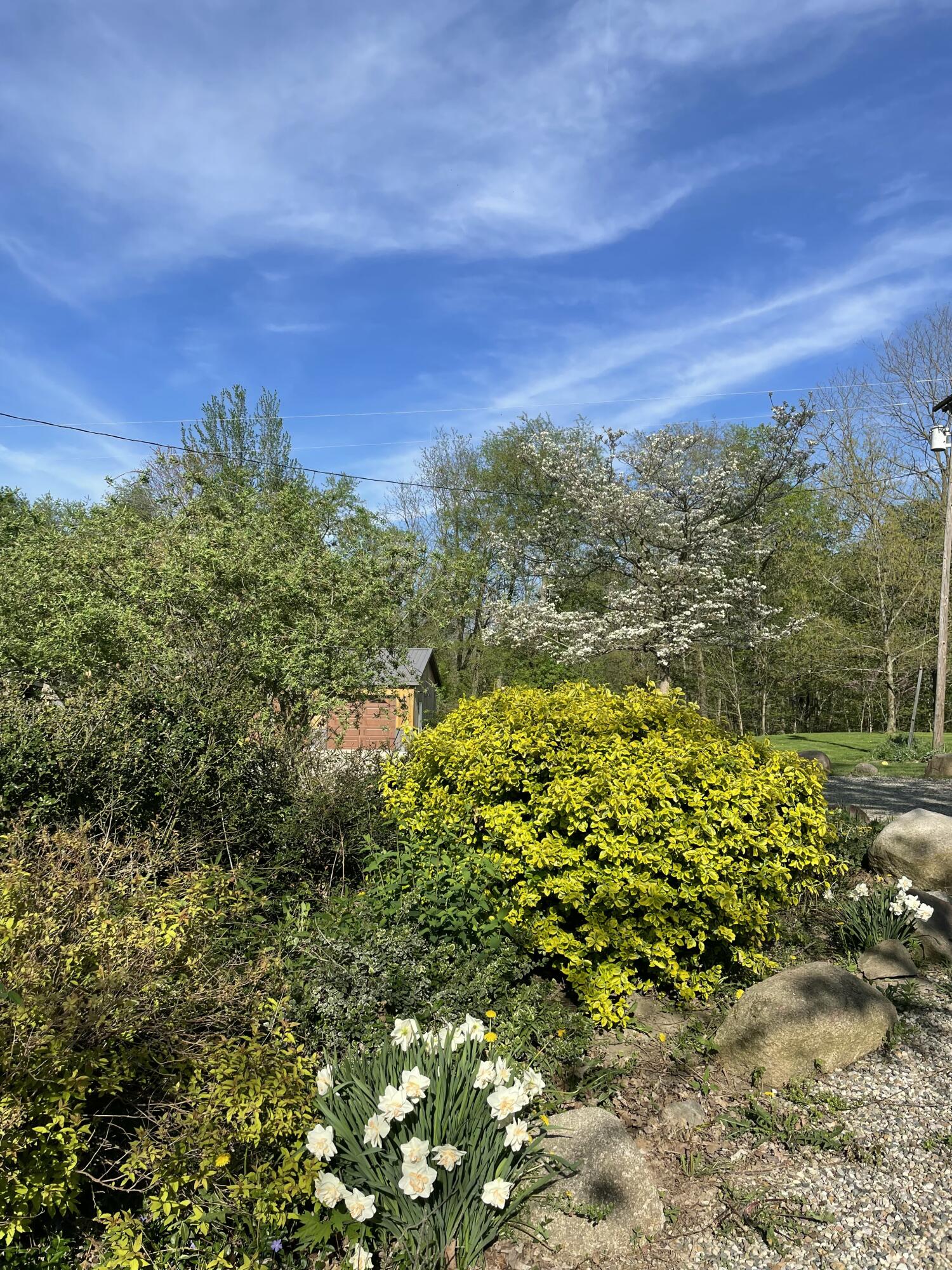 3685 Holcomb Road Adams Township MI 49262