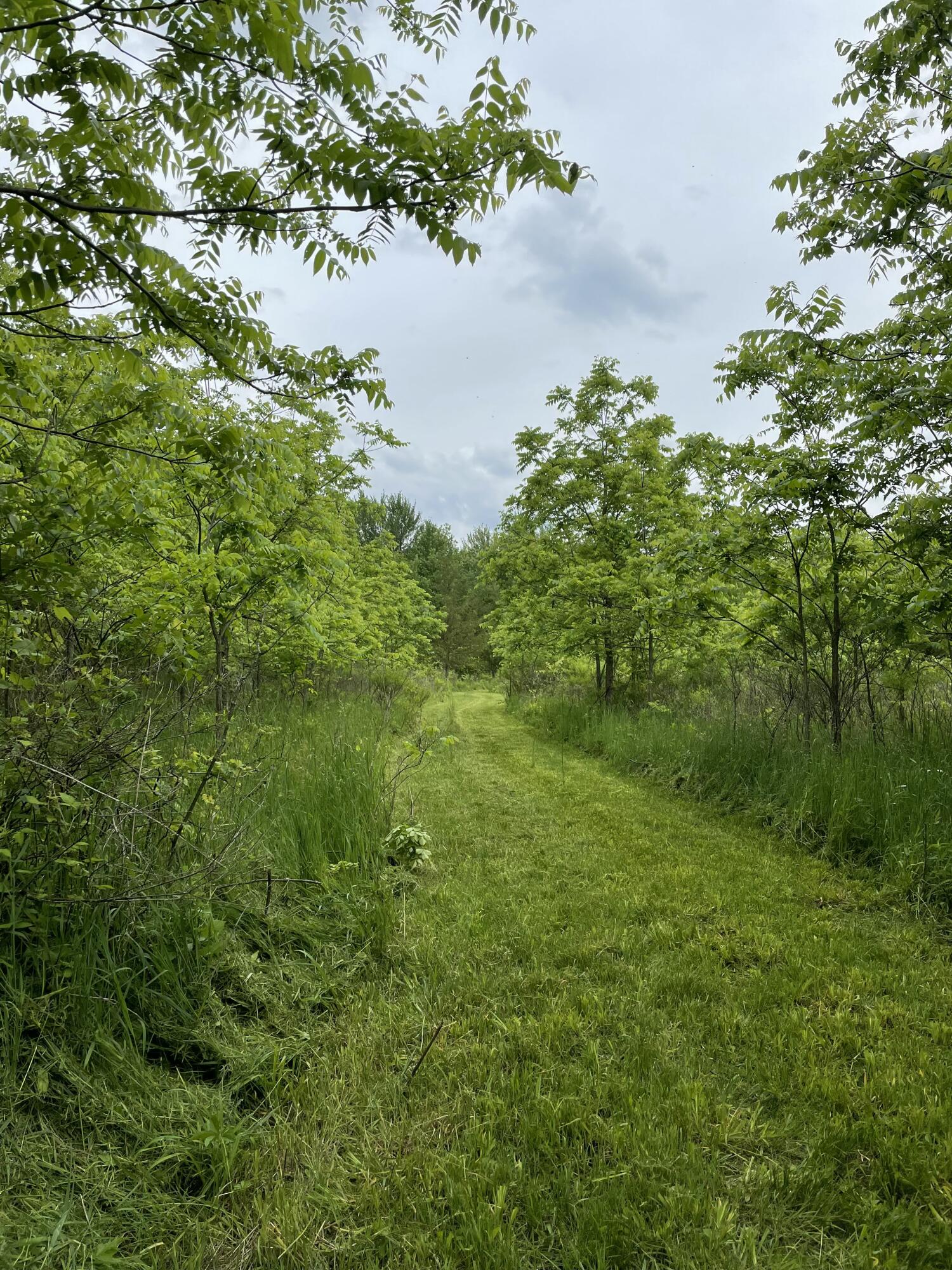 3685 Holcomb Road Adams Township MI 49262