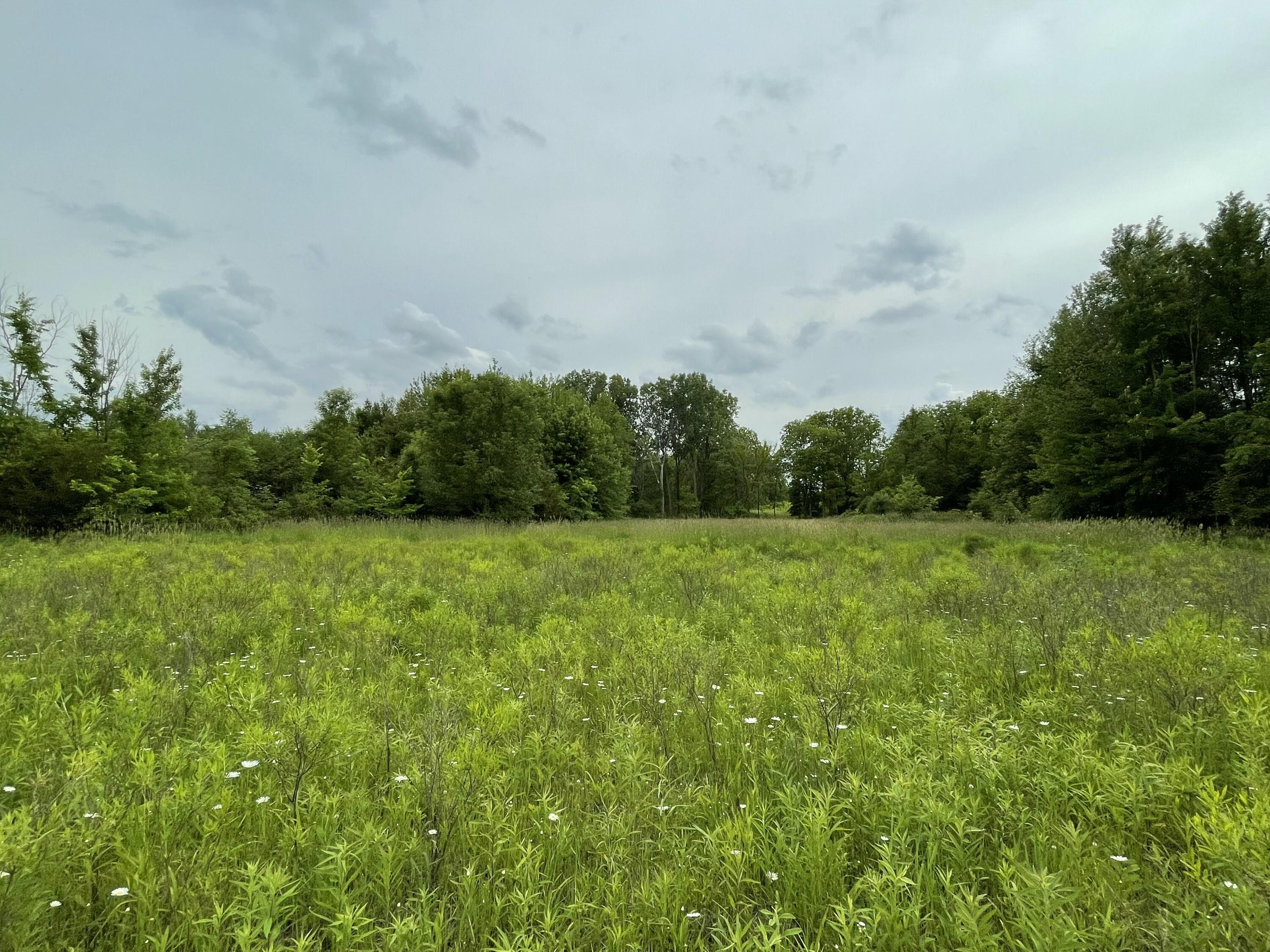 3685 Holcomb Road Adams Township MI 49262