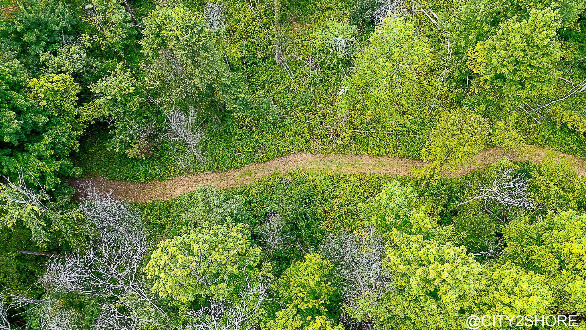 9905 52nd Avenue Allendale Charter Township MI 49401