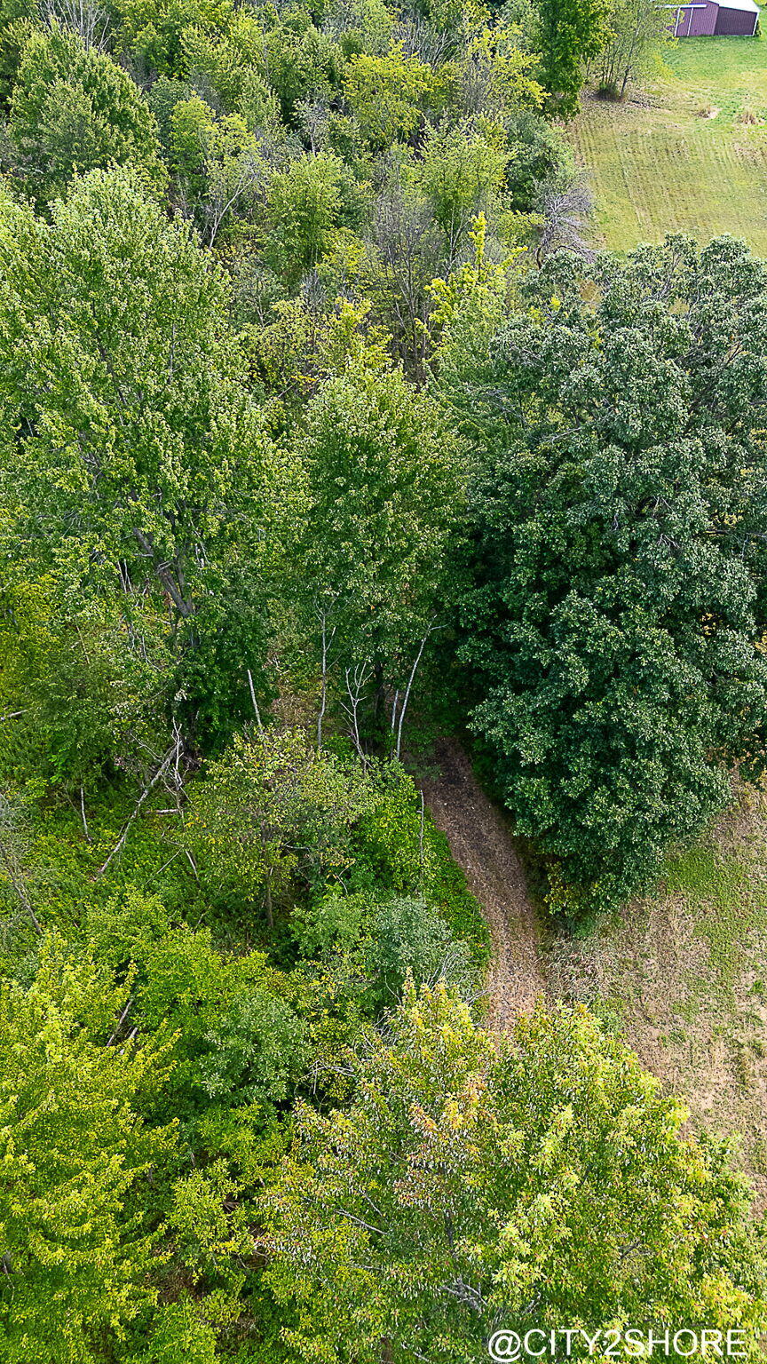 9905 52nd Avenue Allendale Charter Township MI 49401