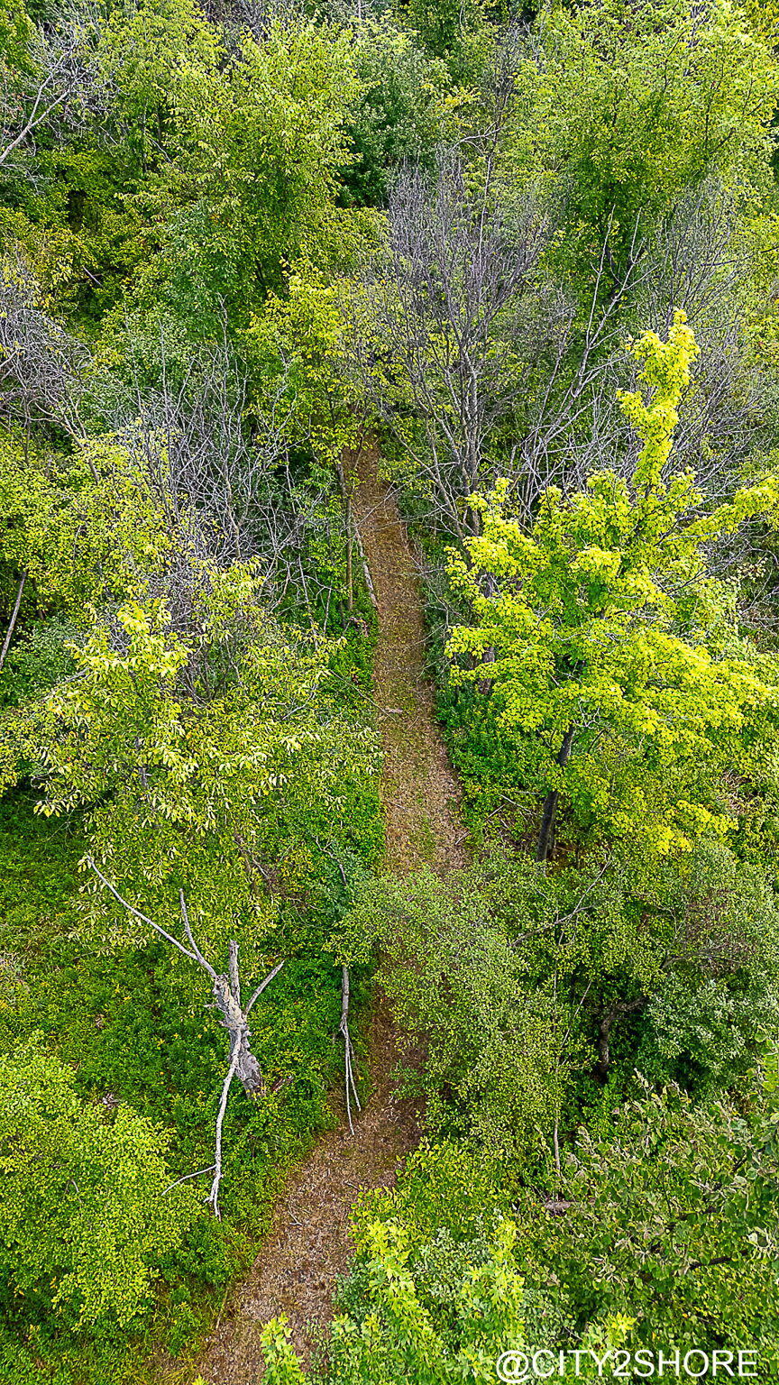 9905 52nd Avenue Allendale Charter Township MI 49401