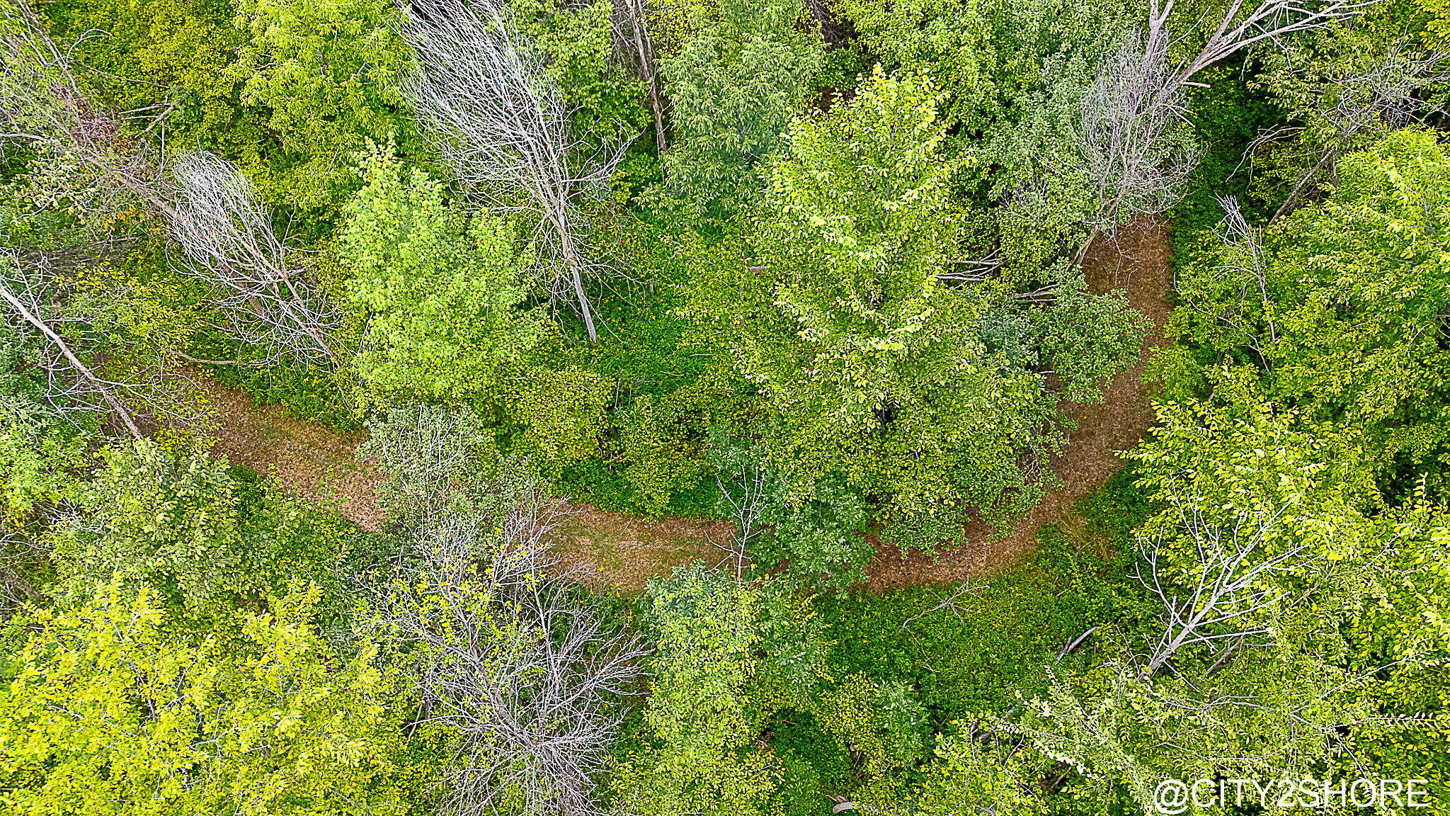 9905 52nd Avenue Allendale Charter Township MI 49401