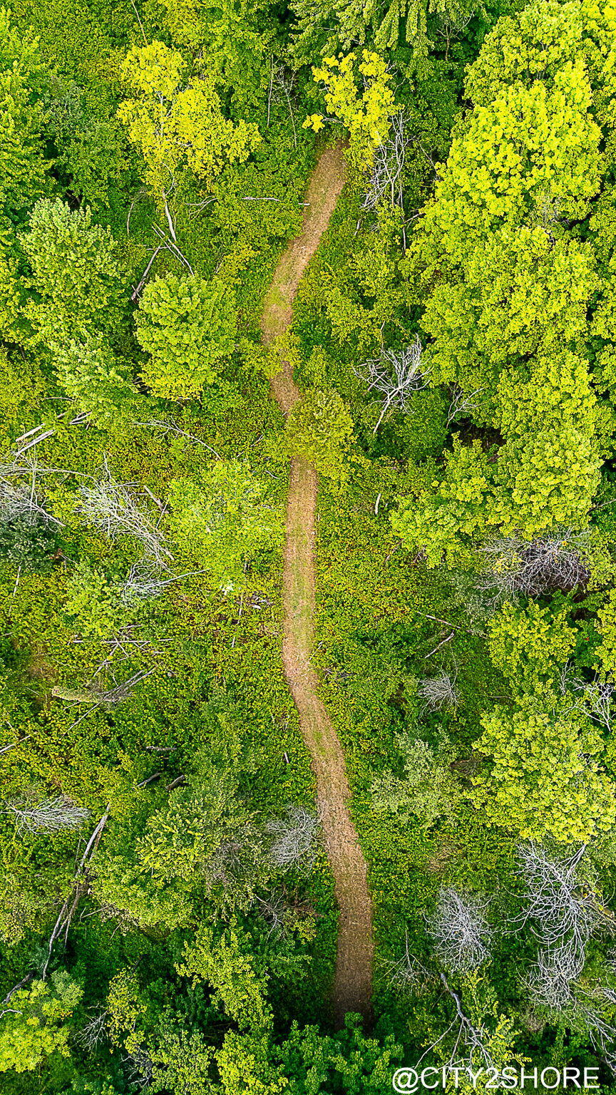 9905 52nd Avenue Allendale Charter Township MI 49401