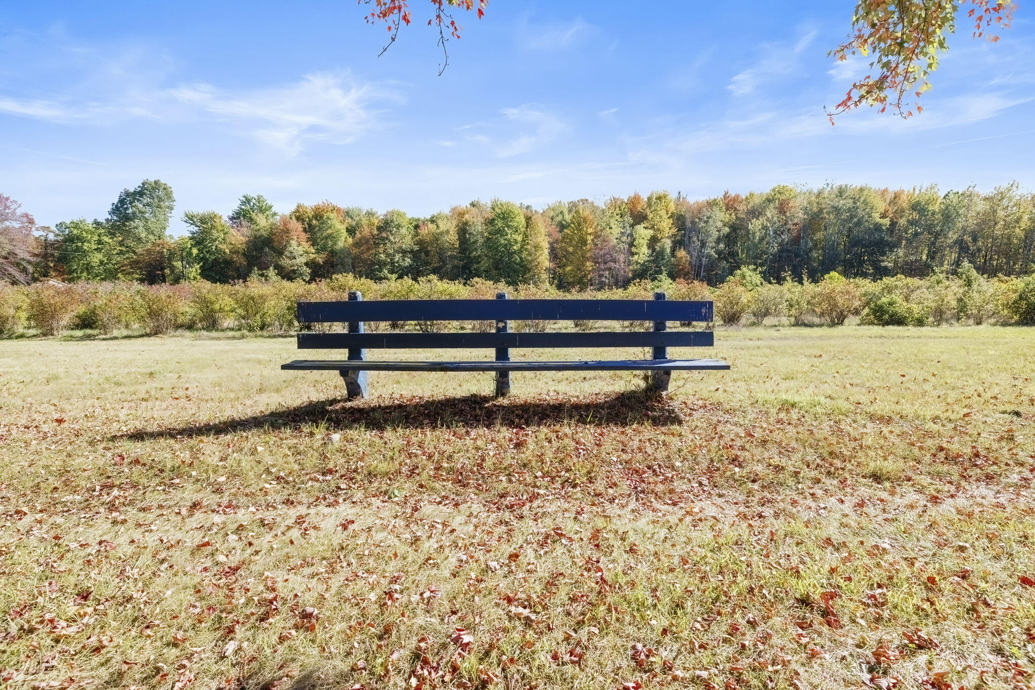 11160 Farina Road New Buffalo Township MI 49117