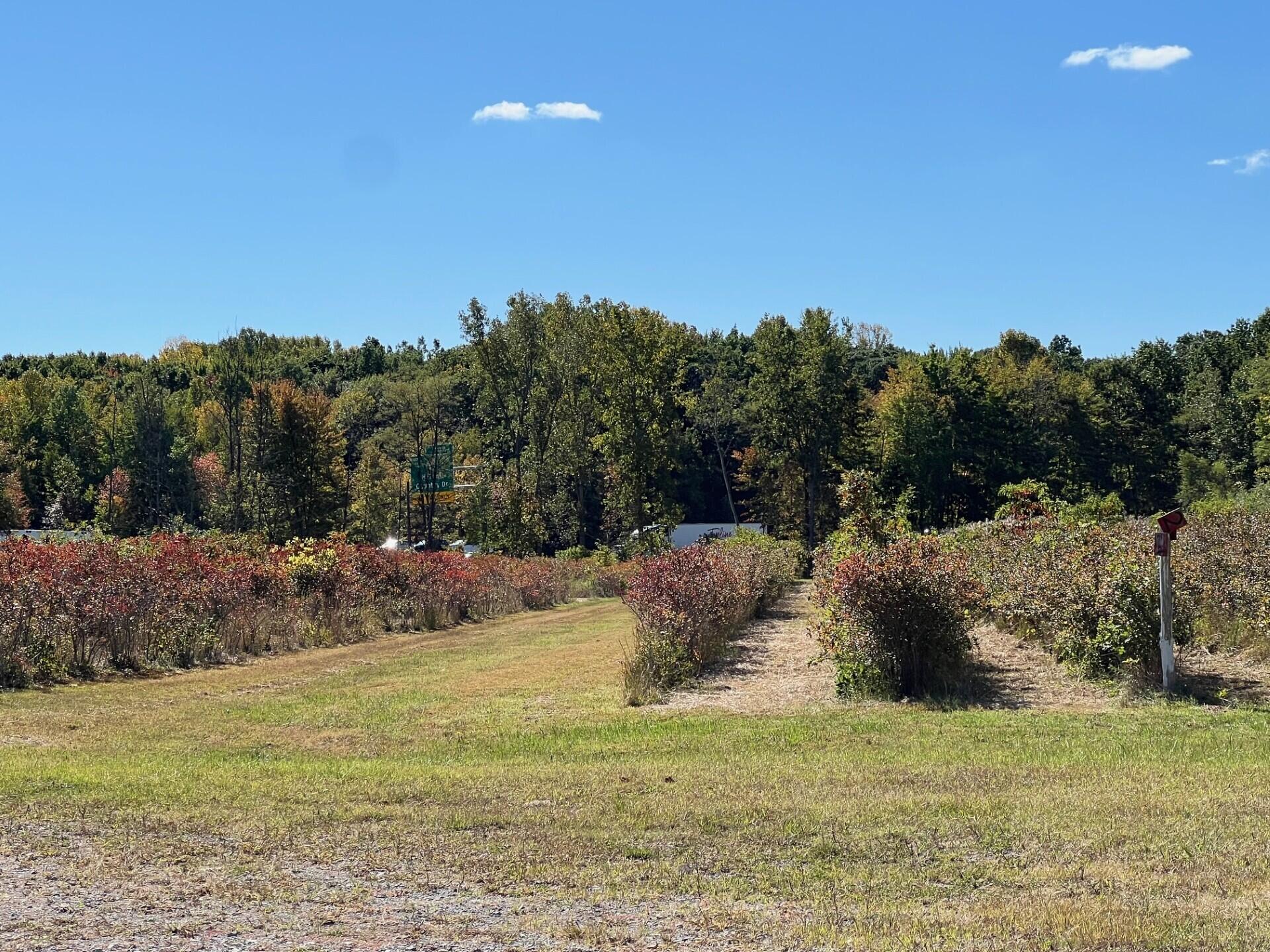 11160 Farina Road New Buffalo Township MI 49117