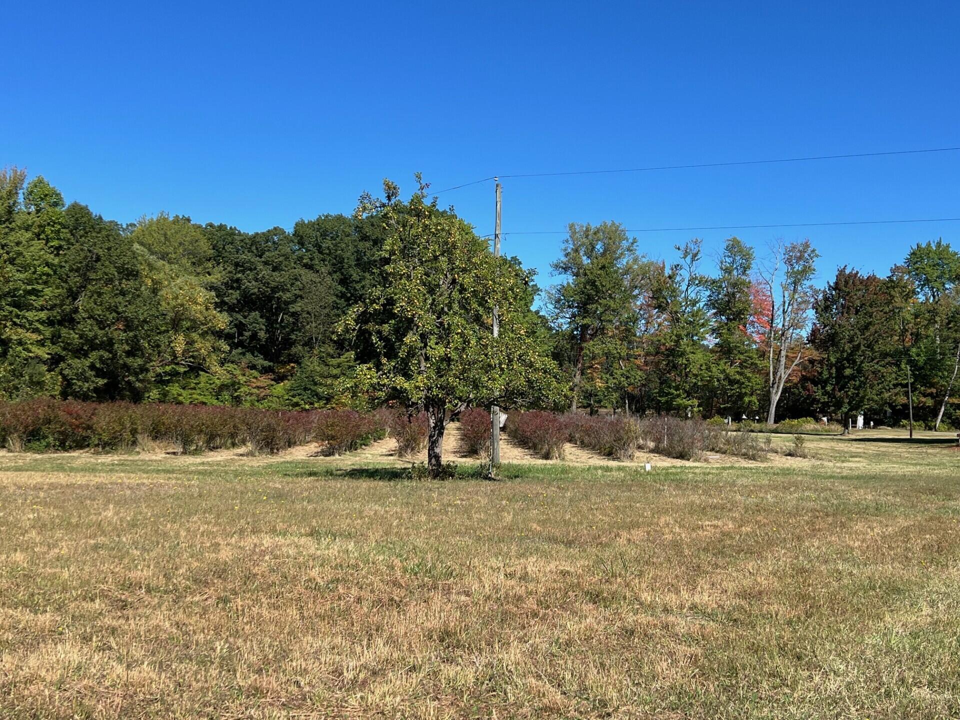 11160 Farina Road New Buffalo Township MI 49117