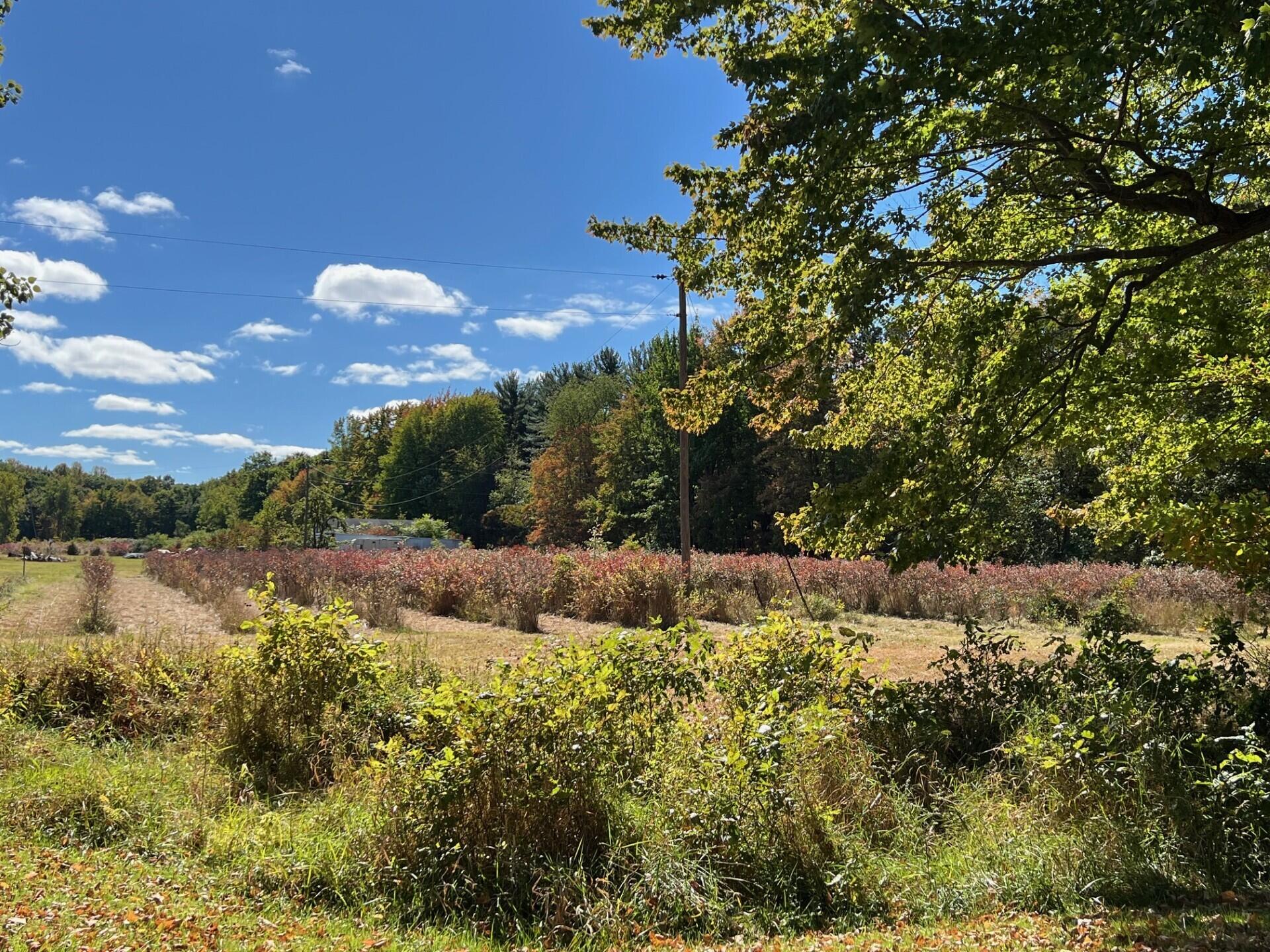 11160 Farina Road New Buffalo Township MI 49117