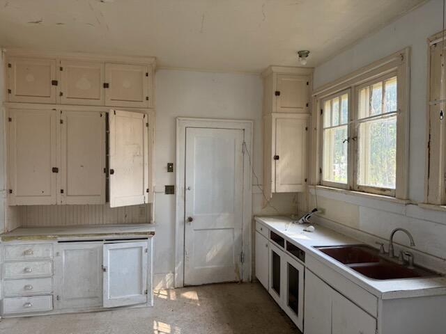 166 N Cass Street Aetna Township MI 49336