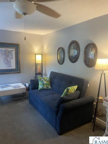 100 Cedar Street Mankato MN 56001
