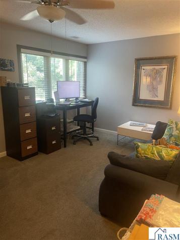 100 Cedar Street Mankato MN 56001
