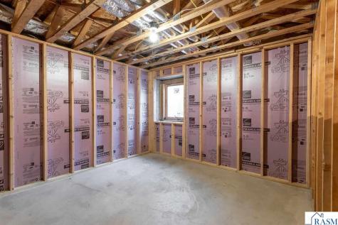 814 Pinnacle Path Mankato MN 56001