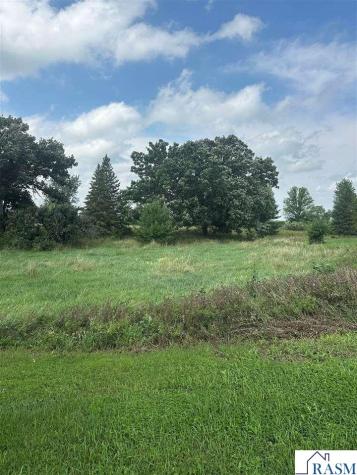 Tbd Foxtail Lane Lake Crystal MN 56055