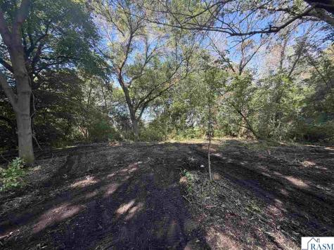 39375 W Elysian Lake Road Janesville MN 56048
