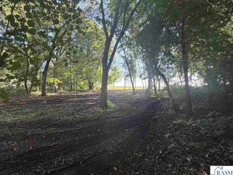 39375 W Elysian Lake Road Janesville MN 56048