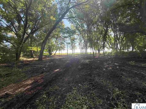 39375 W Elysian Lake Road Janesville MN 56048