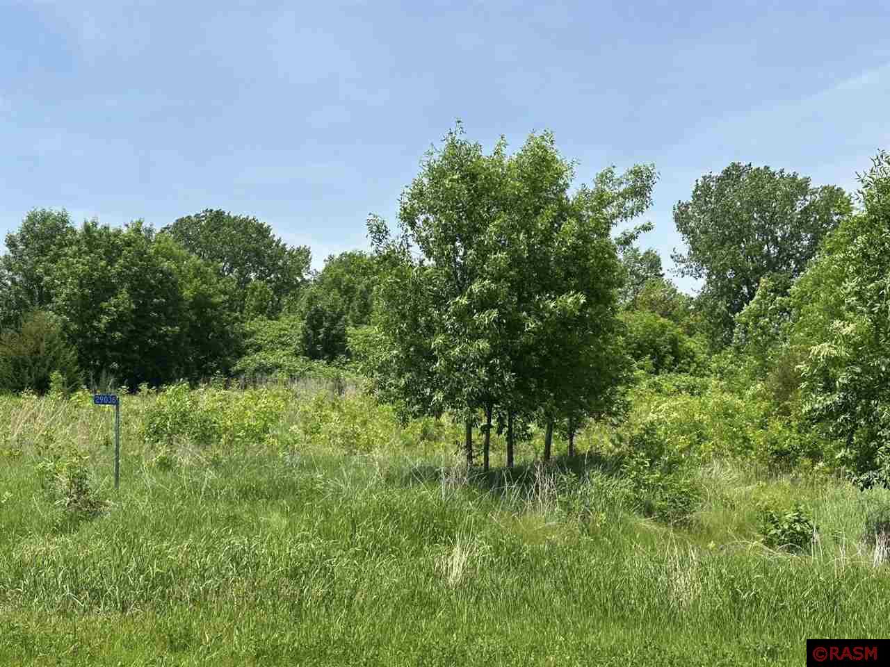 29036 Biehn Drive Madison Lake MN 56063