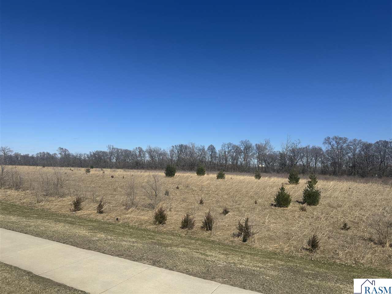 Tbd N Nicollet Avenue St. Peter MN 56082