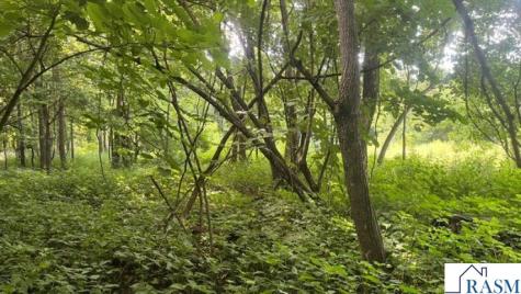 55799 Ivy Road Good Thunder MN 56037