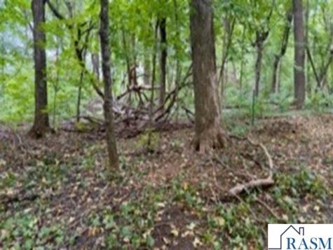 Tbd Cape Horn Road Cleveland MN 56017