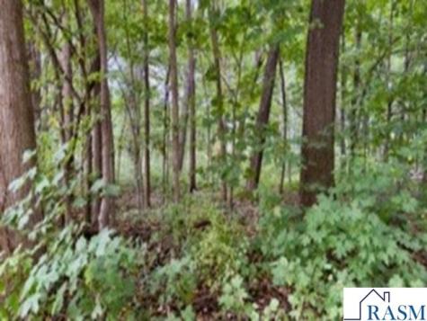 Tbd Cape Horn Road Cleveland MN 56017