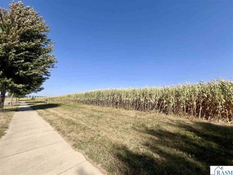 Lot 4 Somsen Street New Ulm MN 56073