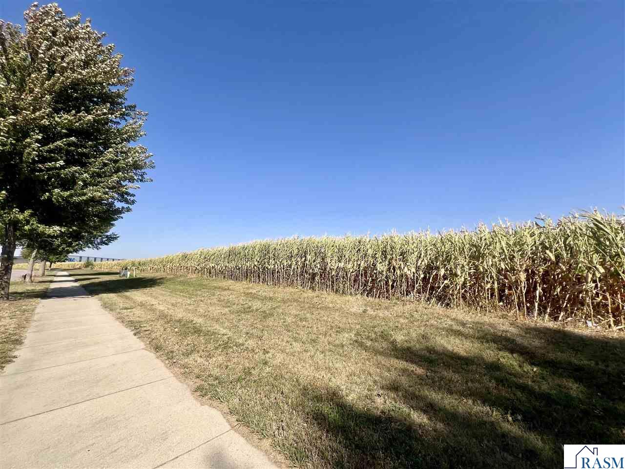 Lot 4 Somsen Street New Ulm MN 56073