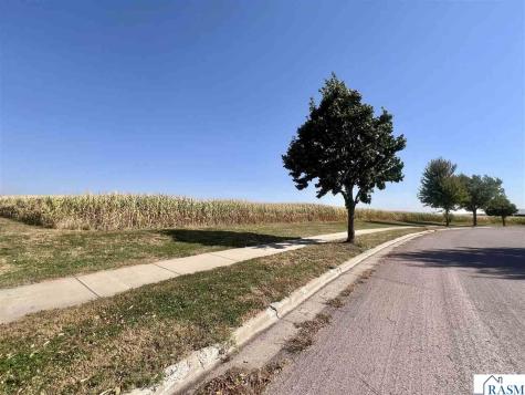 Lot 4 Somsen Street New Ulm MN 56073