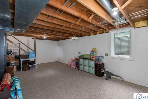 828 Lower Johnson Circle St. Peter MN 56082