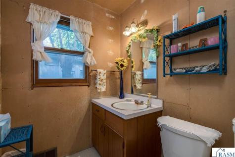 25076 Swedes Bay Lane Elysian MN 56028