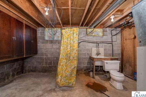 25076 Swedes Bay Lane Elysian MN 56028