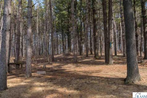 11 NW Cedar Point Lane Elysian MN 56028
