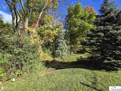 312 Haynes Street Mankato MN 56001