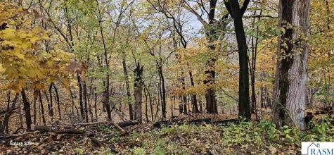 64 Skyline Drive Mankato MN 56001