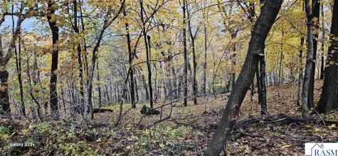 64 Skyline Drive Mankato MN 56001