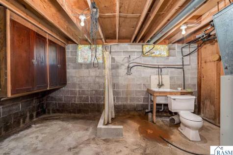 25076 Swede's Bay Lane Elysian MN 56028