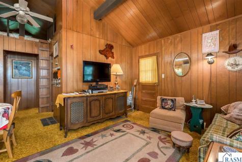 25076 Swede's Bay Lane Elysian MN 56028