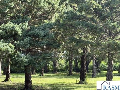 28558 80th Street Waseca MN 56093
