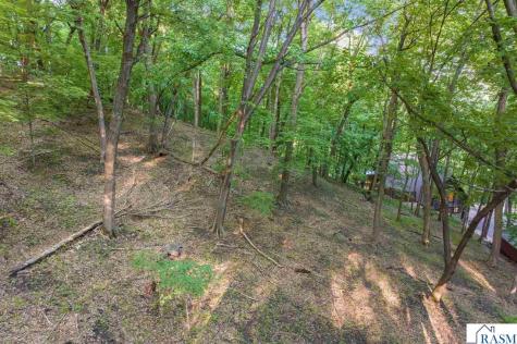46797 381st Avenue St. Peter MN 56082