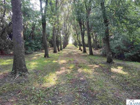 78772 290th Street Madelia MN 56062