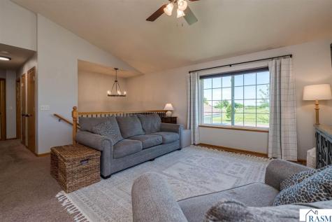 1132 Heron Drive Mankato MN 56001